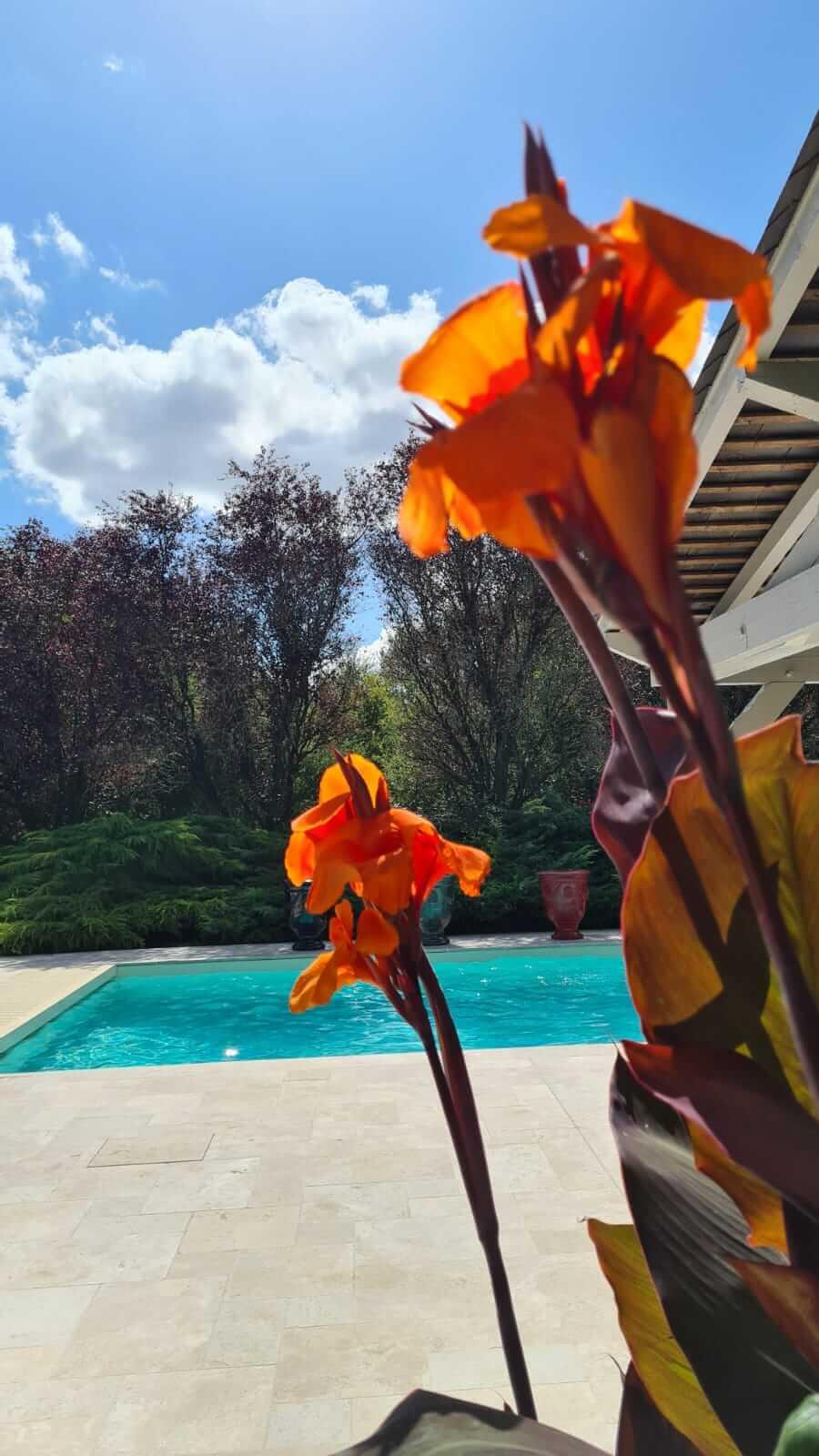 Domaine De La Blonnerie Bed & Breakfast Feings  Dış mekan fotoğraf