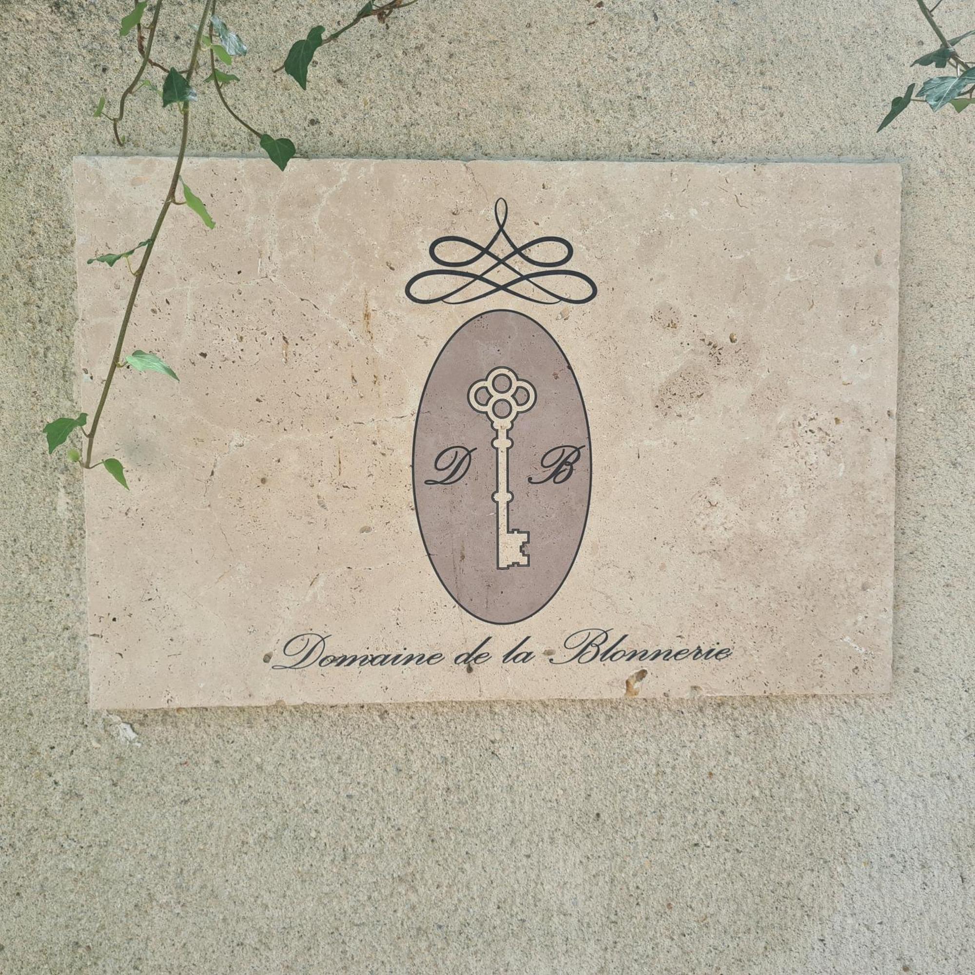 Domaine De La Blonnerie Bed & Breakfast Feings  Dış mekan fotoğraf