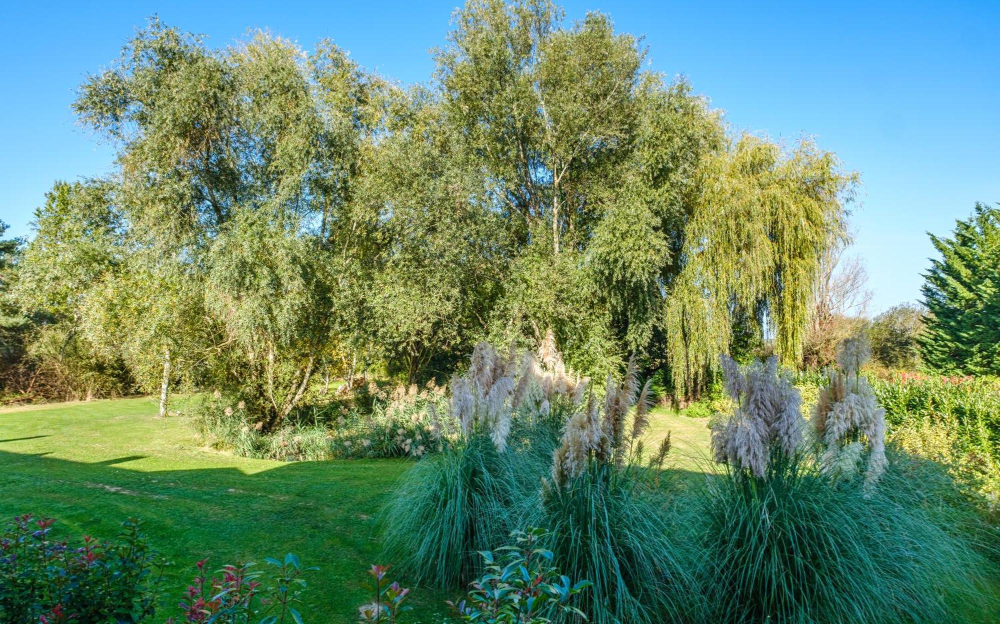 Domaine De La Blonnerie Bed & Breakfast Feings  Dış mekan fotoğraf